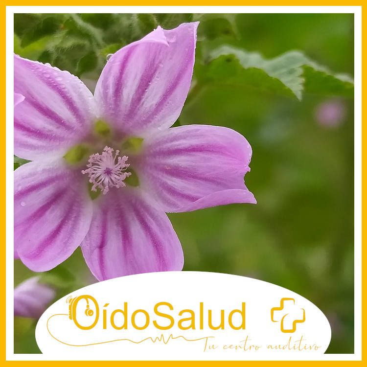 Alergias en primavera